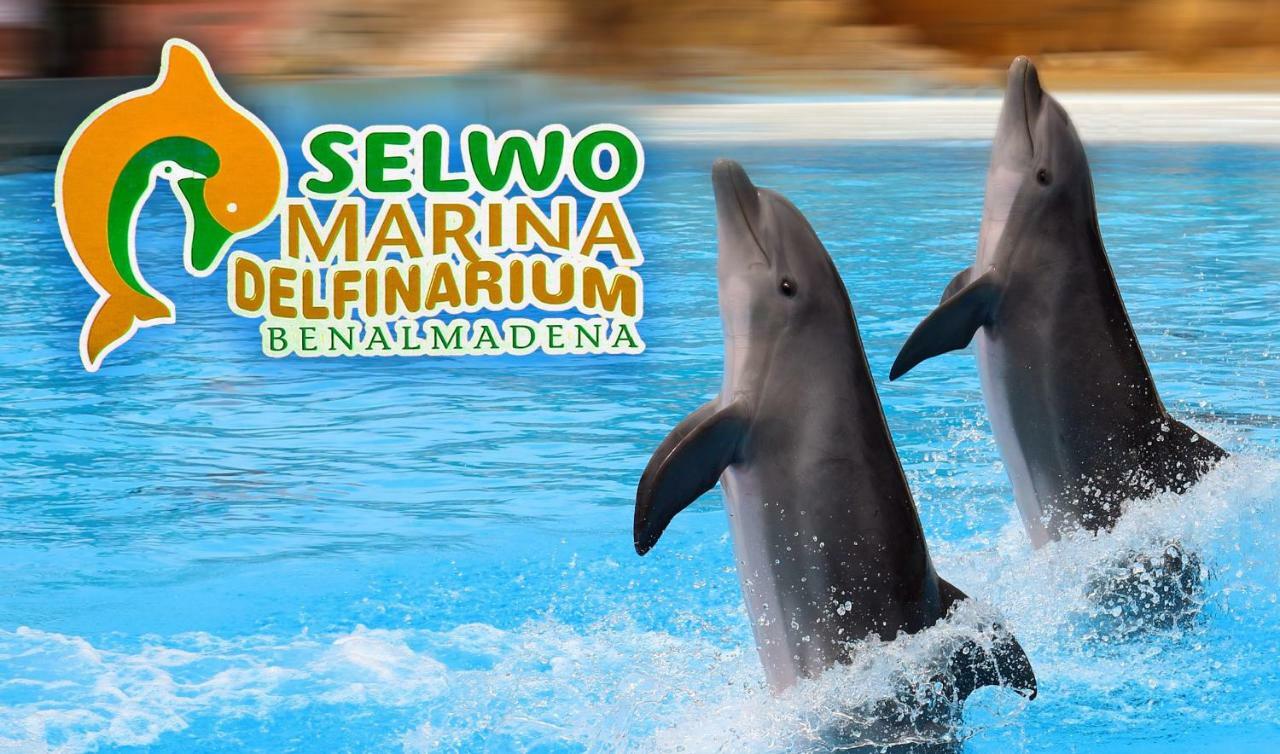 Apartament Real Torrequebrada Benalmádena Zewnętrze zdjęcie